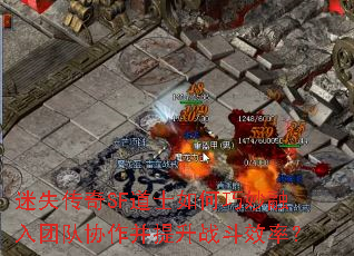ʧSFʿŶЭսЧʣ