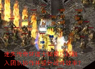 ʧSFʿŶЭսЧʣ
