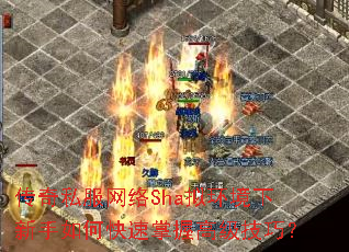 传奇私服网络Sha拟环境下新手如何快速掌握高级技巧? 传奇私服网络Sha拟环境下新手如何快速掌握高级技巧?