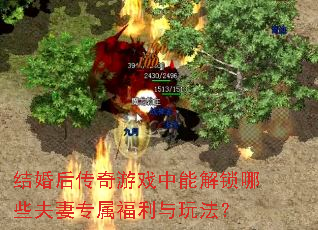 结婚后传奇游戏中能解锁哪些夫妻专属福利与玩法? 结婚后传奇游戏中能解锁哪些夫妻专属福利与玩法?