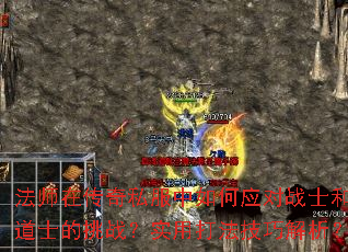 ʦڴ˽Ӧսʿ͵ʿսʵô򷨼ɽ