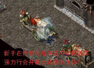 新手在传奇私服网站中如何选择强力行会并最大化团队优势? 新手在传奇私服网站中如何选择强力行会并最大化团队优势?