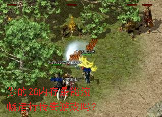 你的2G内存条能流畅运行传奇游戏吗? 你的2G内存条能流畅运行传奇游戏吗?