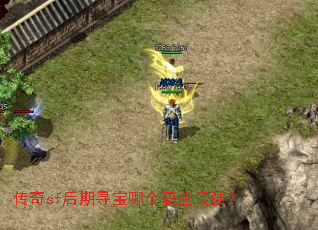 传奇sf后期寻宝哪个职业最强? 传奇sf后期寻宝哪个职业最强?