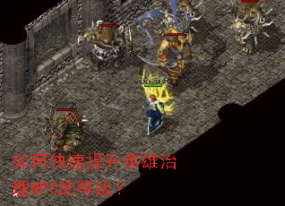 如何快速提升英雄治理NPC的等级? 如何快速提升英雄治理NPC的等级?