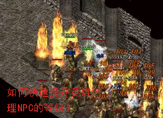 如何快速提升英雄治理NPC的等级? 如何快速提升英雄治理NPC的等级?