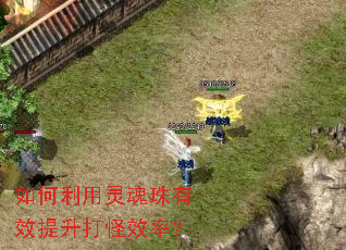 如何利用灵魂珠有效提升打怪效率? 如何利用灵魂珠有效提升打怪效率?