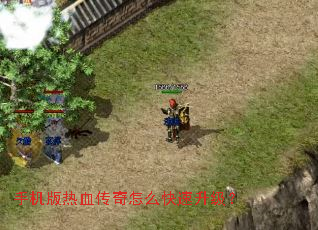 手机版热血传奇怎么快速升级? 手机版热血传奇怎么快速升级?