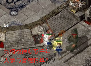 如何快速获取千年人参与雪莲精华? 如何快速获取千年人参与雪莲精华?