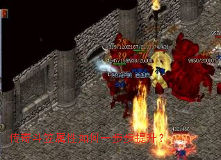 传奇斗笠属性如何一步步提升? 传奇斗笠属性如何一步步提升?