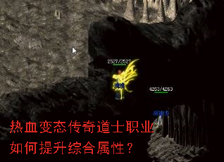 热血变态传奇道士职业如何提升综合属性? 热血变态传奇道士职业如何提升综合属性?