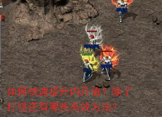 如何快速提升内丹值?除了打怪还有哪些高效方法? 如何快速提升内丹值?除了打怪还有哪些高效方法?