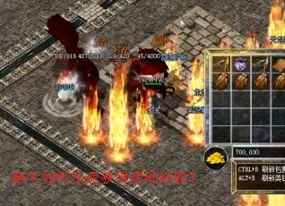 新手如何快速获得活动经验? 新手如何快速获得活动经验?