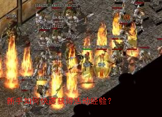 ������ο��ٻ�û���飿