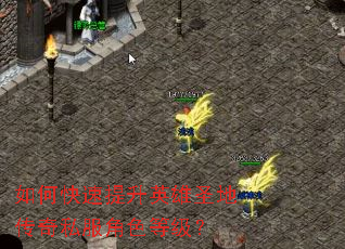 ��ο�������Ӣ��ʥ�ش���˽����ɫ�ȼ���