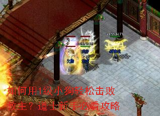 �����1��С�����ɻ��ܽ�������ʿ���ֱؿ�����