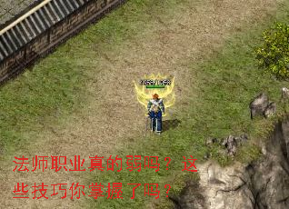 ��ʦְҵ���������Щ��������������