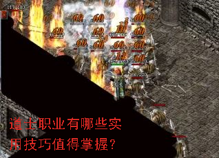 ��ʿְҵ����Щʵ�ü���ֵ�����գ�