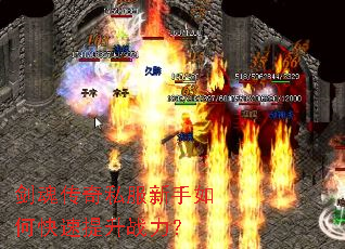 ���괫��˽��������ο�������ս����