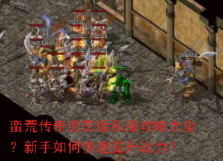 蛮荒传奇变态版私服攻略大全?新手如何快速提升战力? 蛮荒传奇变态版私服攻略大全?新手如何快速提升战力?