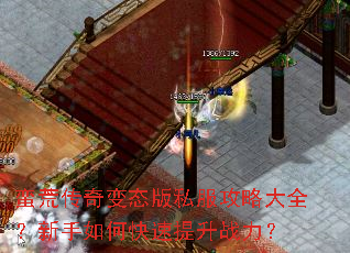 蛮荒传奇变态版私服攻略大全?新手如何快速提升战力? 蛮荒传奇变态版私服攻略大全?新手如何快速提升战力?