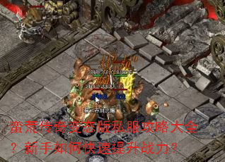 ���Ĵ����̬��˽�����Դ�ȫ��������ο�������ս����