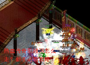 ��Ѫ�������ö���ô�ߣ����ֱؿ�����