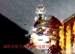 ���ʵ�ֵ��������ļ��¿�У�