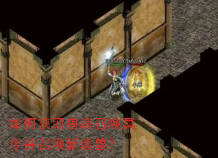 如何获取兽魂召唤冥令并召唤新魂兽? 如何获取兽魂召唤冥令并召唤新魂兽?