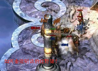 ��λ��������ĺ�Ұ����