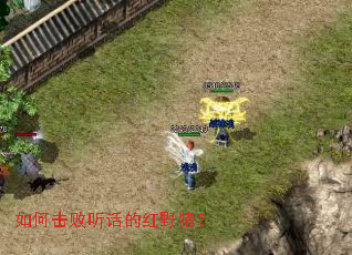 ��λ��������ĺ�Ұ����