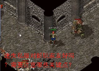 迷失私服对新玩家友好吗?需要注意哪些关键点? 迷失私服对新玩家友好吗?需要注意哪些关键点?