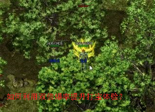 如何利用双倍爆率提升打宝体验? 如何利用双倍爆率提升打宝体验?