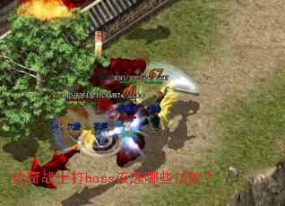 ����սʿ��boss��ѡ��Щ���ܣ�