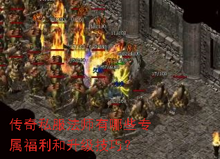 ����˽����ʦ����Щר���������������ɣ�