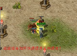 战战组合如何快速提升元神速度? 战战组合如何快速提升元神速度?