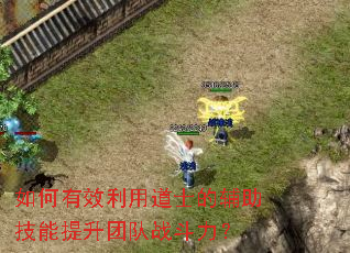 �����Ч���õ�ʿ�ĸ������������Ŷ�ս������