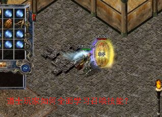 ��ʿ������ȫ��ѧϰ�ٻ����ܣ�