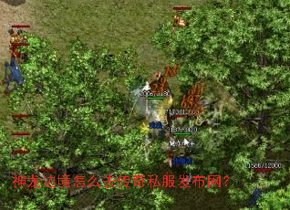 神龙边境怎么去传奇私服发布网? 神龙边境怎么去传奇私服发布网?