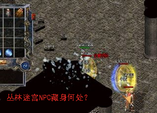 丛林迷宫NPC藏身何处? 丛林迷宫NPC藏身何处?