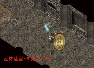 丛林迷宫NPC藏身何处? 丛林迷宫NPC藏身何处?