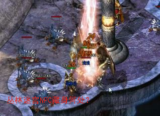 丛林迷宫NPC藏身何处? 丛林迷宫NPC藏身何处?