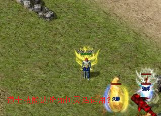 道士技能进阶如何灵活运用? 道士技能进阶如何灵活运用?