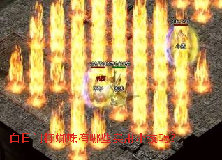 �����Ŵ�֩������Щʵ��С���ɣ�