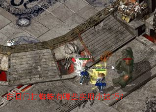 �����Ŵ�֩������Щʵ��С���ɣ�