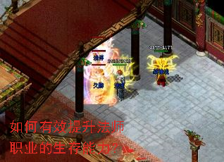 �����Ч������ʦְҵ������������