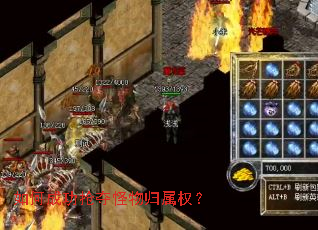 ��γɹ�����������Ȩ��