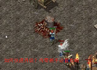 ��ο����������������ֱؿ�����