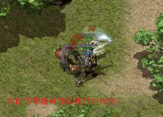 ��Ѫ���澫Ӣ��ˢ��ʱ���ȫ��