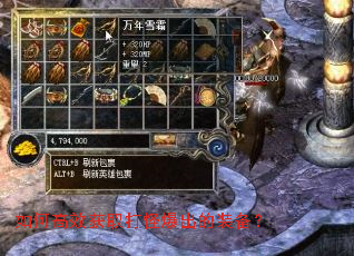 如何高效获取打怪爆出的装备? 如何高效获取打怪爆出的装备?